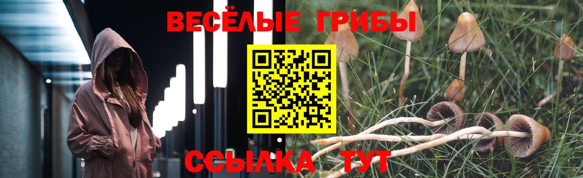 Сафоново  Галлюциногенные грибы Cubensis  Псилоцибиновые грибы Cubensis  Вход с VPN 