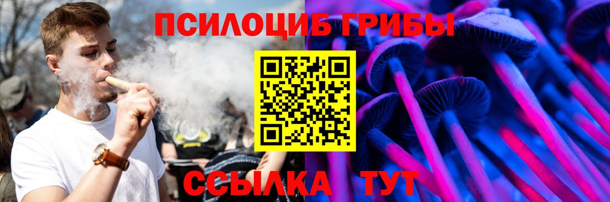 Галлюциногенные грибы прущие грибы Сафоново
